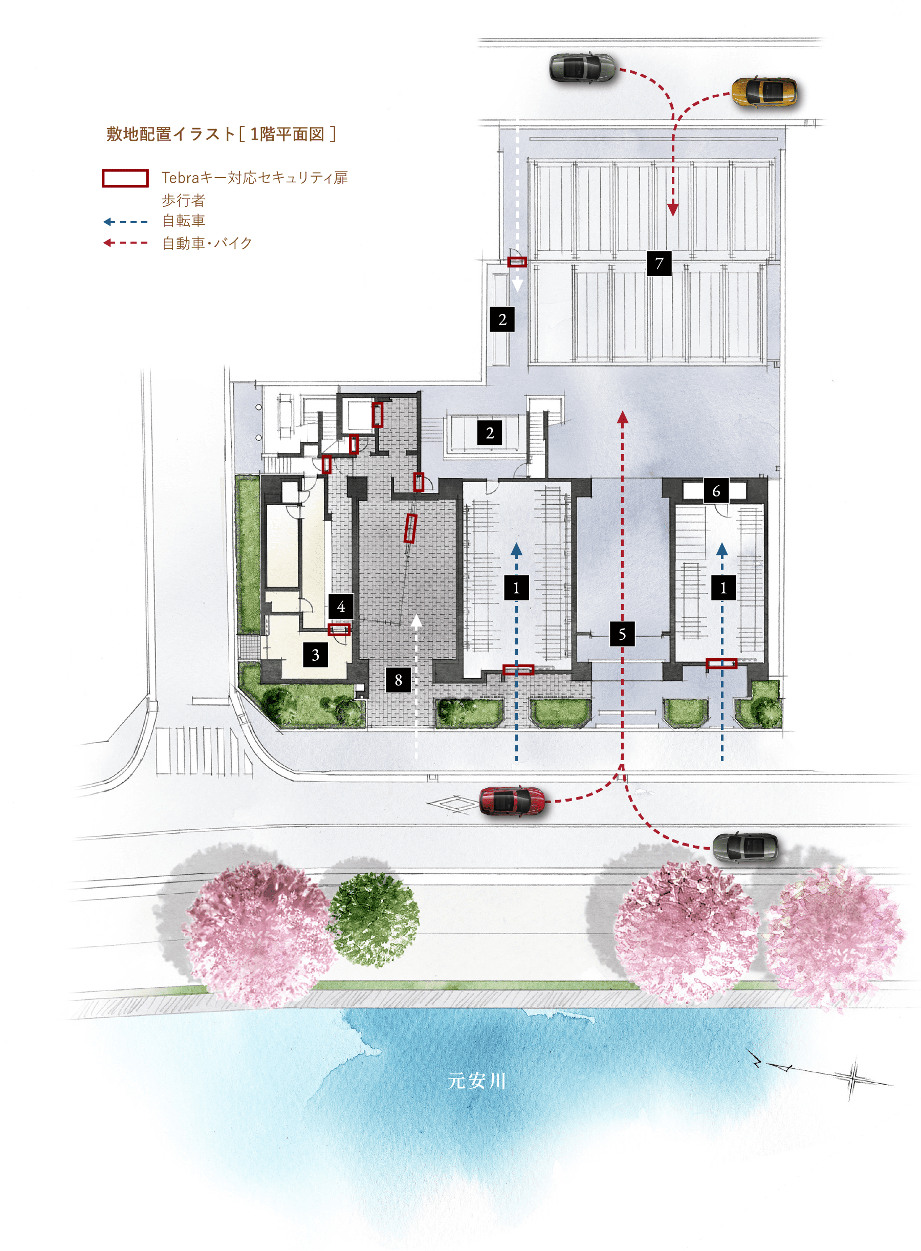 敷地配置イラスト［ 1階平面図 ］