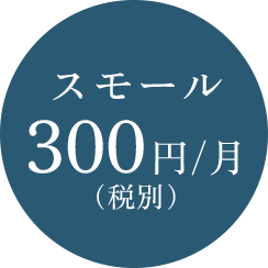 スモール300円/月（税別）