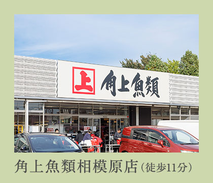 角上魚類相模原店（徒歩11分）