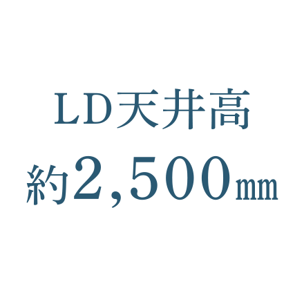 LD天井高約2,500㎜