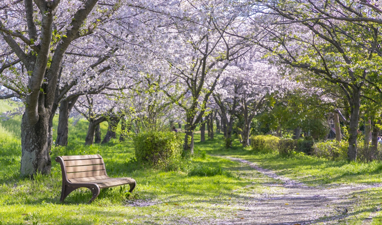 におどり公園