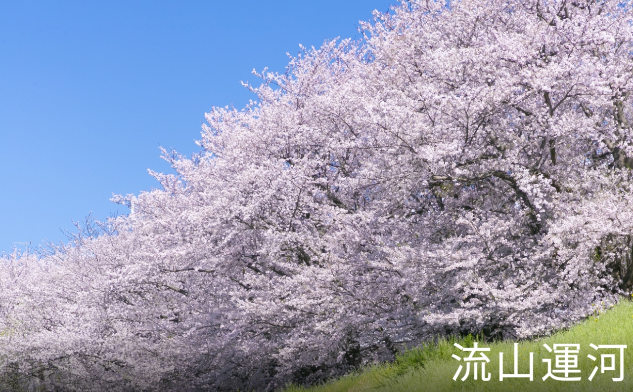 東京理科大学付近