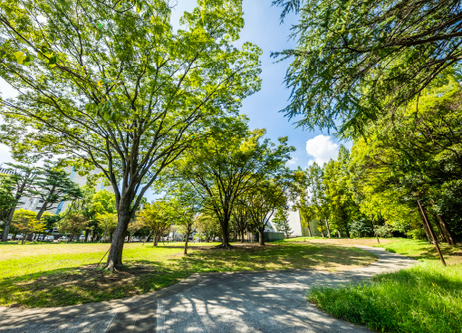 沢渡中央公園