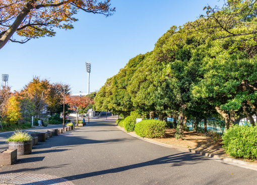 三ツ沢公園