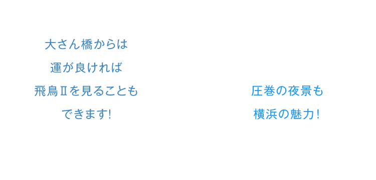 大さん橋からは運が良ければ飛鳥Ⅱを見ることもできます!圧巻の夜景も横浜の魅力！