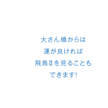 大さん橋からは運が良ければ飛鳥Ⅱを見ることもできます!