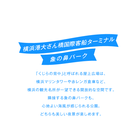 横浜港大さん橋国際客船ターミナル、象の鼻パーク