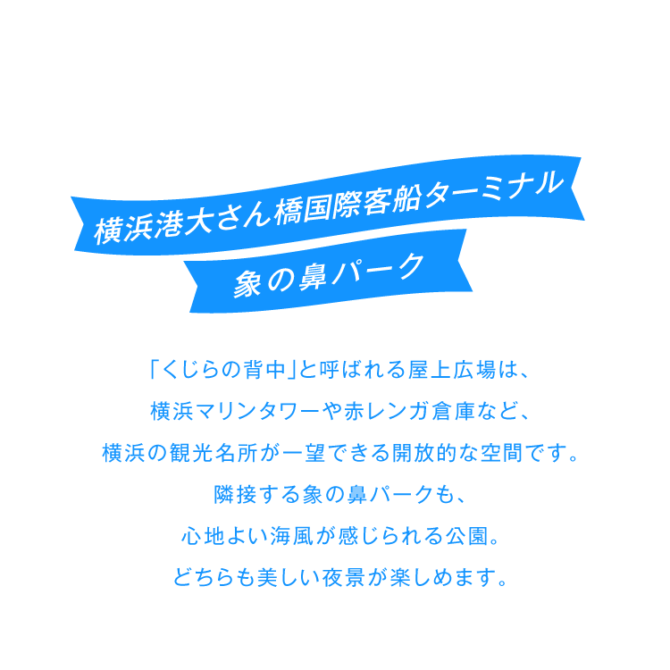 横浜港大さん橋国際客船ターミナル、象の鼻パーク