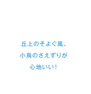 丘上のそよぐ風、小鳥のさえずりが心地いい！