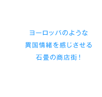 ヨーロッパのような異国情緒を感じさせる石畳の商店街！